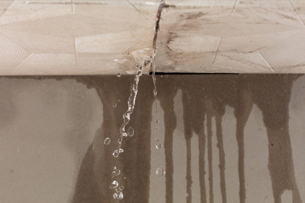 Professional Water Damage Inspection technician working in Fletcher, MO